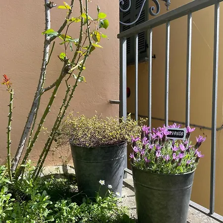 Stunning Facing * Tremezzo